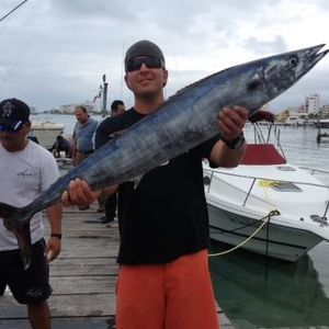 Meet your Posher, Justin